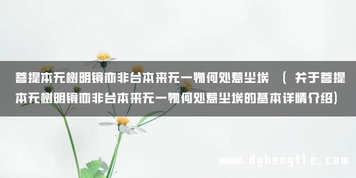 菩提本无树明镜亦非台本来无一物何处惹尘埃 (关于菩提本无树明镜亦非台本来无一物何处惹尘埃的基本详情介绍)